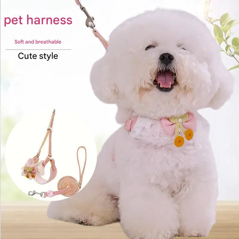 Orange-yellow Lace Y-Shaped Pet Harness and Leash Set - Breathable Mesh Vest for Small to Medium Dogs and Cats - Comfortable Walking Gear with 150cm Leash(Size:M)