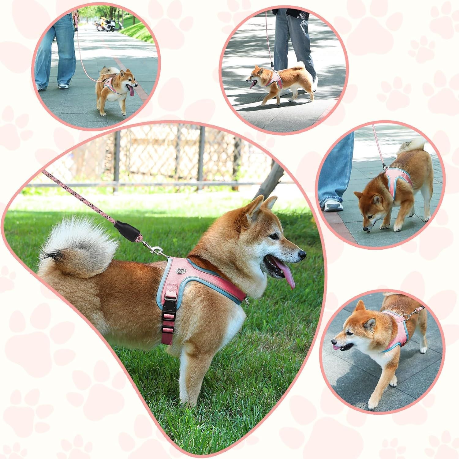 M Size Orange Waterproof Reflective Saddle-Style Dog Harness & 1.5M Leash Set - Breathable Anti-Choke Escape-Proof Step-In Walking Gear