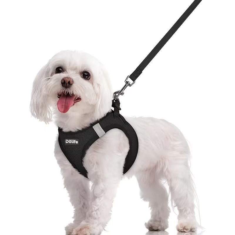 Black Breathable Dog Harness and Leash Set - Adjustable Reflective Pet Vest with Swivel Clip(Size: L)