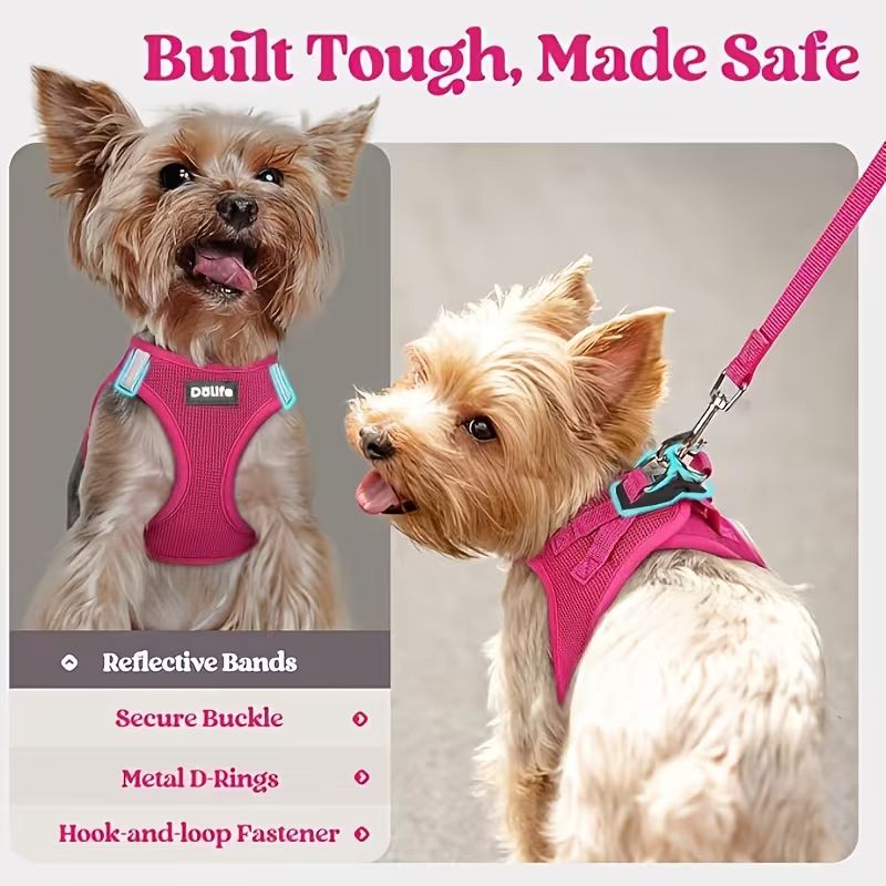 Blue Breathable Dog Harness and Leash Set - Adjustable Reflective Pet Vest with Swivel Clip(Size: XS)