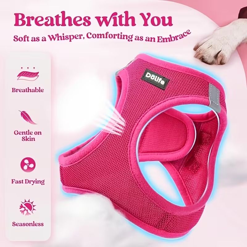 Orange Breathable Dog Harness and Leash Set - Adjustable Reflective Pet Vest with Swivel Clip(Size: XS)
