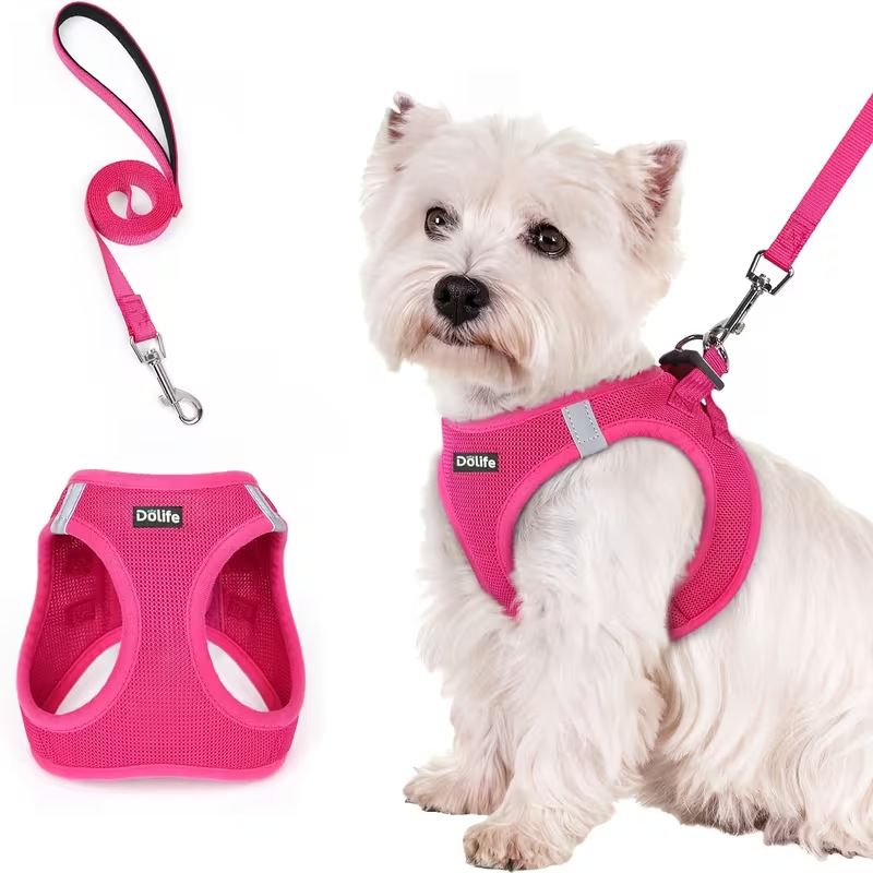Rose red Breathable Dog Harness and Leash Set - Adjustable Reflective Pet Vest with Swivel Clip(Size: XS)
