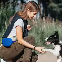 Gray Silicone Dog Training Treat Pouch with Adjustable Waist Belt Hands-Free Pet Reward Bag for Outdoor Walks