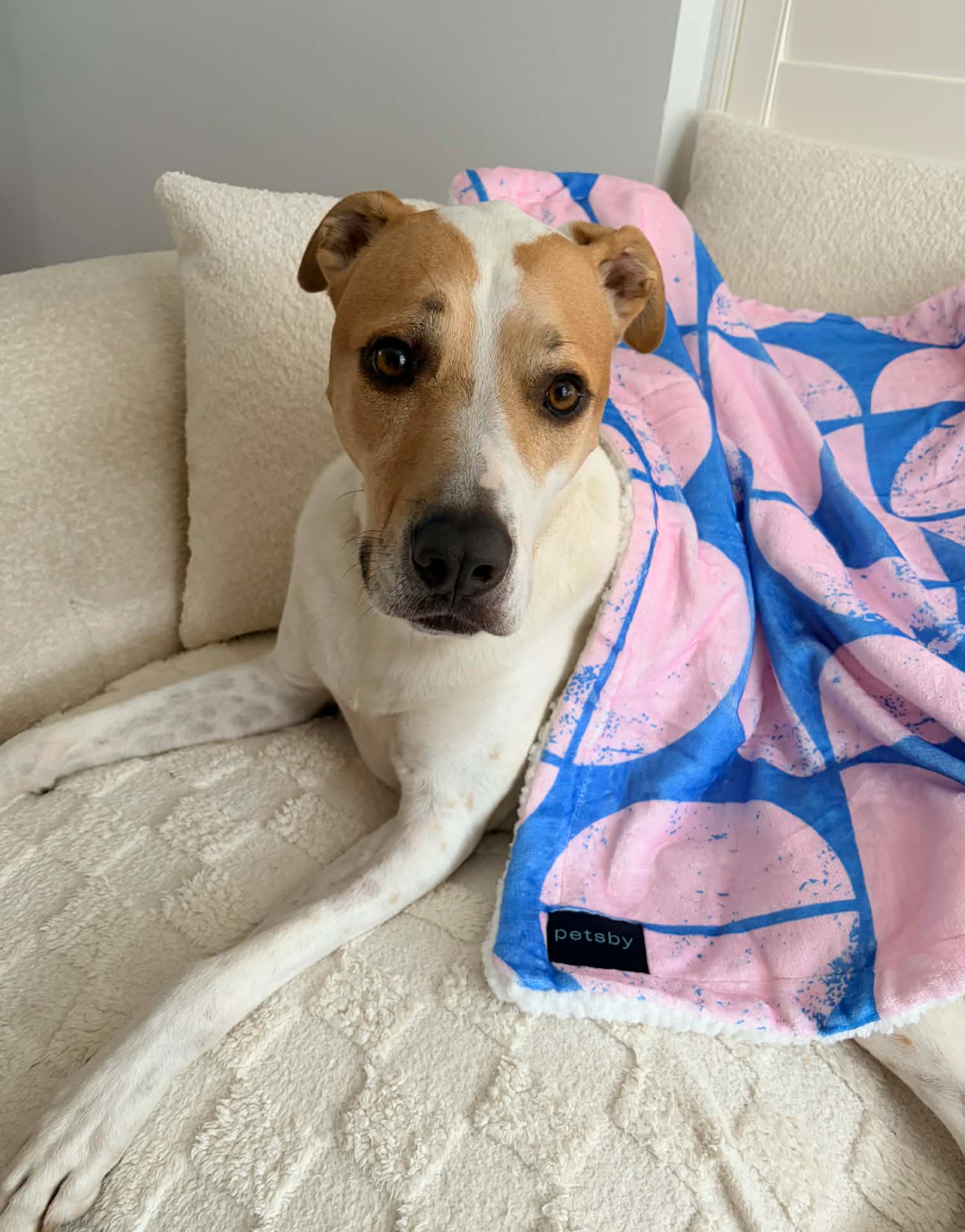 Soft Fleece Sherpa Dog Pet Blanket 100 x 75cm - Retro