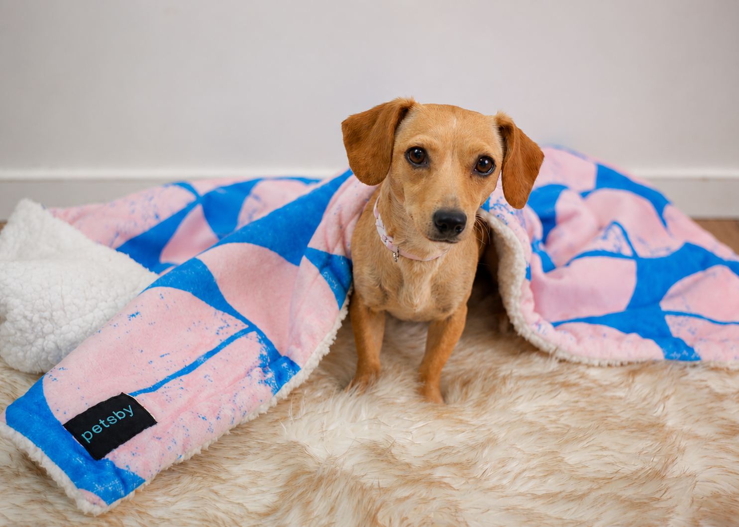 Soft Fleece Sherpa Dog Pet Blanket 100 x 75cm - Retro