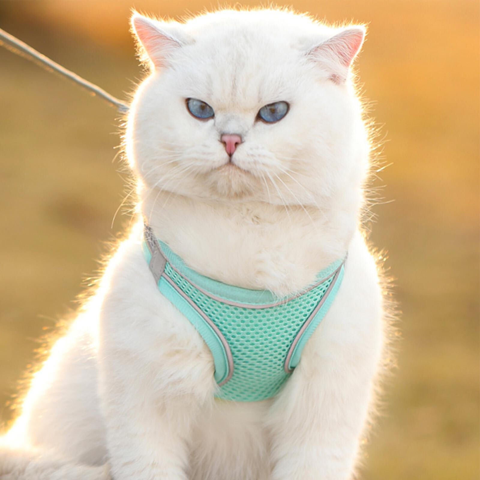 Reflective Non-slip Cat Harness & Lead Set