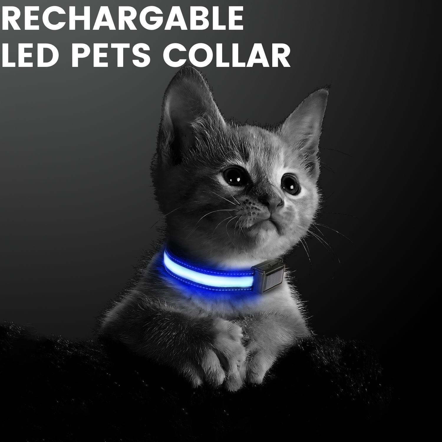 Floofi Solar USB Rechargable LED Dog Collar (M Blue) - PT-DC-136-QQQ