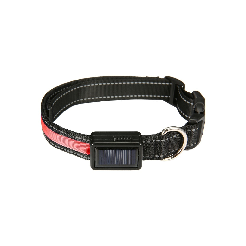 Floofi Solar USB Rechargable LED Dog Collar (L Red)