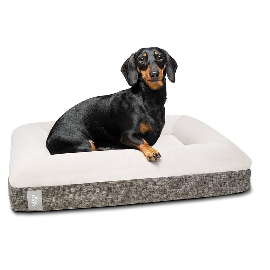 Fur King "Ortho" Orthopedic Dog Bed - Small