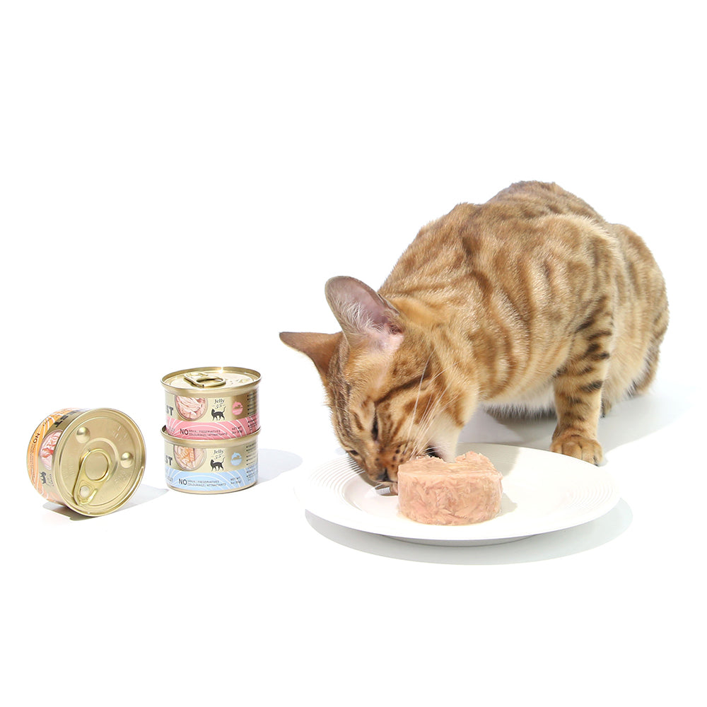 CAT FOREST Premium Tuna White Meat With Chicken In Jelly Cat Canned Food 85G X 24