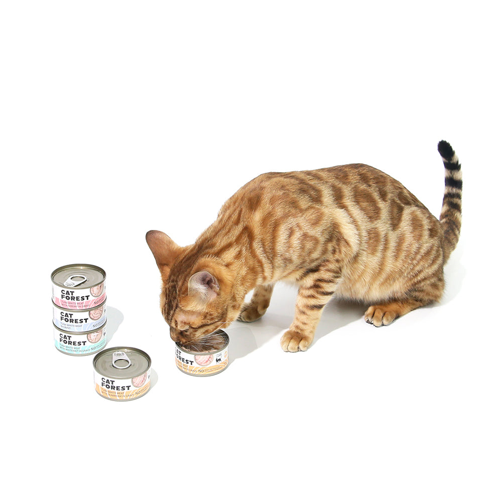 CAT FOREST Classic Tuna White Meat With Seabream In Gravy Cat Canned Food 85G X 24